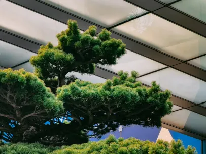 ArcaneBet Cazino Cazinou Aplicație mobilă